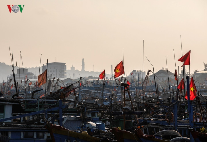 7 giờ sáng, tàu thuyền ở âu thuyền Thọ Quang vẫn chìm trong giấc ngủ.