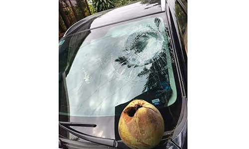 De o to duoi goc dua, chu xe nhan ngay cai ket “dang”