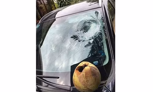 De o to duoi goc dua, chu xe nhan ngay cai ket “dang”