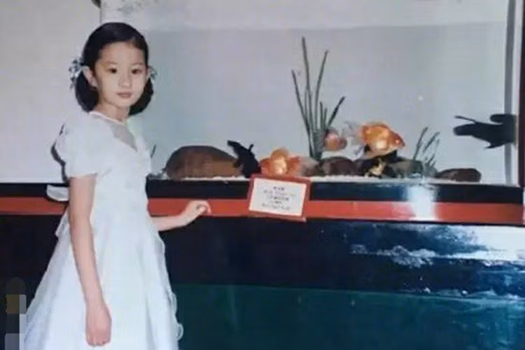 Hình ảnh Lưu Diệc Phi khi sống ở Mỹ cùng mẹ. Ảnh: Ngôi sao