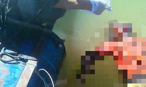 Thi the nguoi phu nu troi tren song sang mung 3 Tet