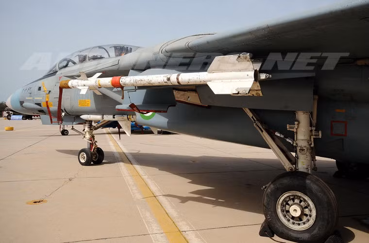 Hỏa lực của F-14A khá mạnh với 10 giá treo cho phép mang 6,6 tấn vũ khí cùng pháo 20mm 6 nòng trong thân. Tải trọng vũ khí này cho phép Iran mang 7-8 tên lửa đối không tầm ngắn - xa tùy nhiệm vụ. Đặc biệt, Mỹ đã cung cấp cho Iran loại tên lửa không đối không tầm cực xa AIM-54 Phoenix có tầm phogns 190km, độ cao hạ mục tiêu đến 30km, tốc độ bay Mach 5, trang bị đầu tự dẫn radar chủ động hoặc bán chủ động.