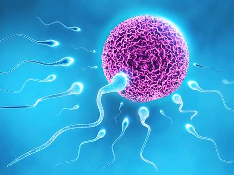 Nhung loi ich cua viec tam nuoc lanh vao mua he-Hinh-5