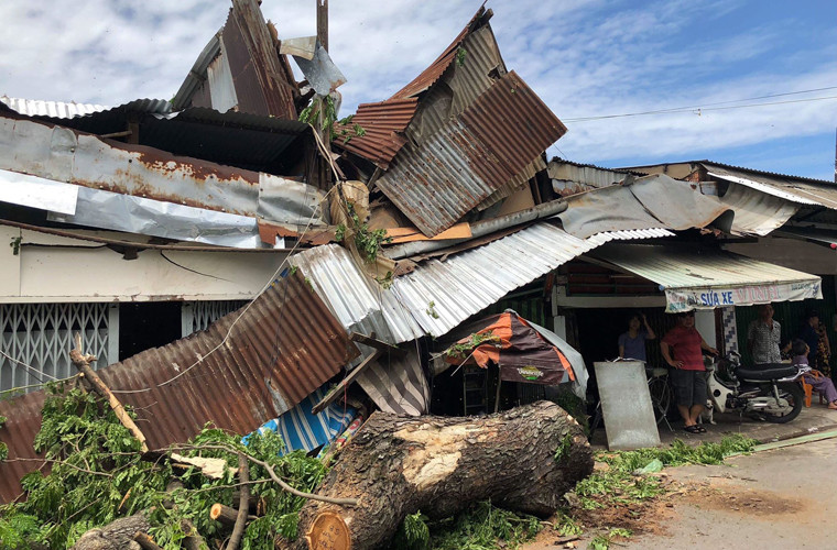 Theo các nhân chứng tại hiện trường, sáng cùng ngày, dù trời không có mưa gió nhưng cây xanh nằm trên đường Hoài Thanh bất ngờ bật gốc, ngã ra đường, phần ngọn cây đè lên 2 căn nhà đối diện.