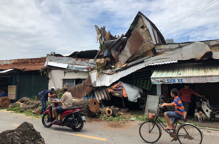 Thời điểm cây ngã đè lên 2 nhà dân, bên trong 2 căn nhà có khoảng 15 người đang sinh hoạt nhưng rất may kịp thoát ra ngoài. Riêng em Bùi Thị Thanh Trúc (13 tuổi) ngủ trên lầu không kịp thoát nên bị thương.