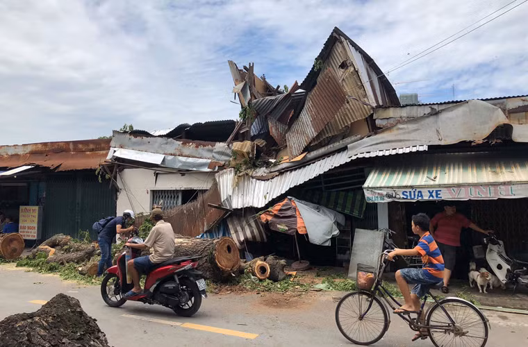 Thời điểm cây ngã đè lên 2 nhà dân, bên trong 2 căn nhà có khoảng 15 người đang sinh hoạt nhưng rất may kịp thoát ra ngoài. Riêng em Bùi Thị Thanh Trúc (13 tuổi) ngủ trên lầu không kịp thoát nên bị thương.