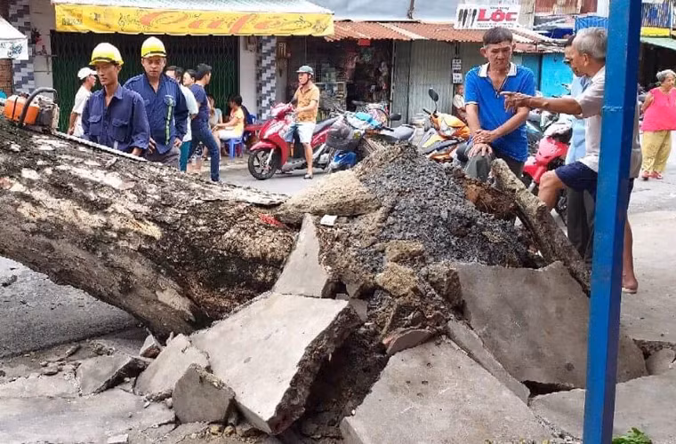 Đến trưa cùng ngày, nhân viên cây xanh điều xe cẩu lớn đến giải phóng hiện trường.