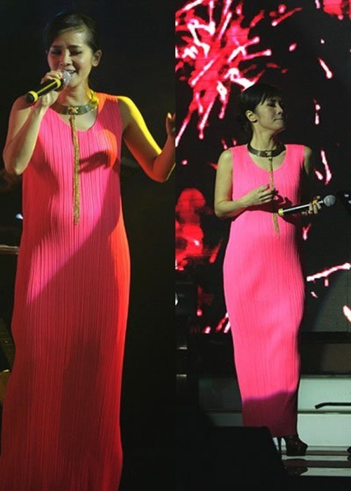 Không chỉ bà xã Phan Hiển, nhiều mỹ nhân Việt cũng có con ở tuổi ngoài 40. Hồng Nhung là một trong số đó. Ảnh: Vietnamnet