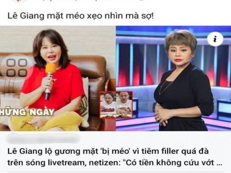 Mới đây, Lê Giang vướng nghi vấn tiêm filler quá đà. Nhanh chóng, nữ diễn viên hài lên tiếng phủ nhận. Ảnh: FBNV