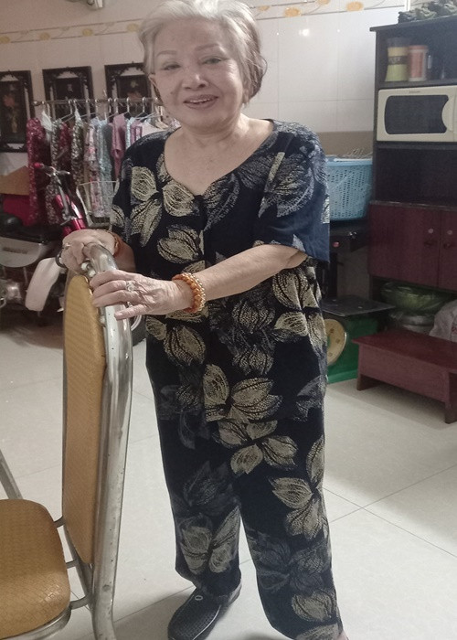 Gia đình mong các Youtuber không tiếp tục quấy nhiễu nghệ sĩ Hồng Nga. Ảnh: Tổ Quốc