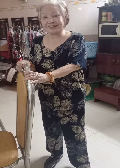 Gia đình mong các Youtuber không tiếp tục quấy nhiễu nghệ sĩ Hồng Nga. Ảnh: Tổ Quốc