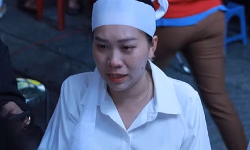 Chuyen buon quanh su ra di cua NSUT Vu Linh-Hinh-2