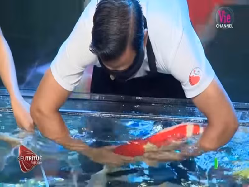 Cụ thể, chương trình chuẩn bị 2 bể cá, mỗi bể 25 con, được lấy ngẫu nhiên từ trang trại cả ngàn con của Thắng Ngô. Người chơi sẽ bịt mắt, sờ nắn để nhận biết 25 con cá koi ở bể bên phải màn hình. Sau đó, ban giám khảo sẽ chọn ra 3 con cá bất kỳ từ bể còn lại, thả vào bể mà Thắng Ngô vừa kiểm tra. Nhiệm vụ của Thắng Ngô là tìm ra 3 con cá vừa bỏ vào bể. Nếu tìm đúng 2/3 con, người chơi giành chiến thắng. Thắng Ngô xuất sắc hoàn thành thử thách nhưng không thể có mặt trong Biệt đội siêu trí tuệ Việt Nam, vì giám khảo khoa học, Phó Giáo sư – Tiến sĩ Trần Thành Nam, đánh giá độ khó ở mức 6 điểm. Nhân với điểm số của ba giám khảo còn lại, Thắng Ngô nhận được 72 điểm, chưa đủ mức tối thiểu 80 điểm để bước lên bục cao. Ảnh: Tiền Phong