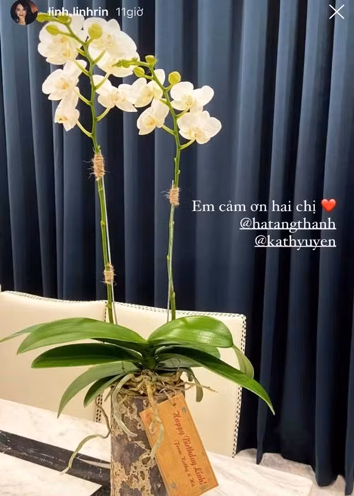 Tăng Thanh Hà cùng Kathy Uyên tặng Linh Rin một cây hoa lan. Ảnh: VTC