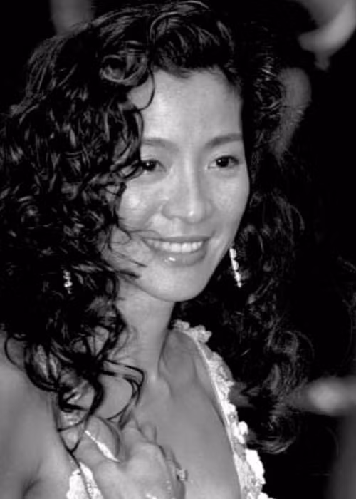 Sự nghiệp diễn xuất của Hoa hậu Malaysia 1983 đầy rực rỡ. Ngoài "Everything everywhere all at once", Dương Tử Quỳnh đóng “Ngọa hổ tàng long”, “Hồi ức của một geisha”, “Hoắc Nguyên Giáp”, “The Mummy: Tomb of the dragon emperor”. Ảnh: Tiền Phong