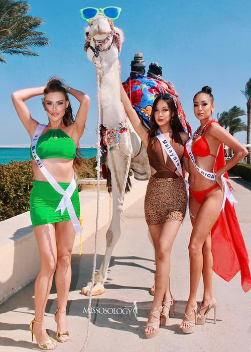 Chuyên trang sắc đẹp uy tín Missosology đánh giá cao đại diện Brazil. Ảnh: Missosology