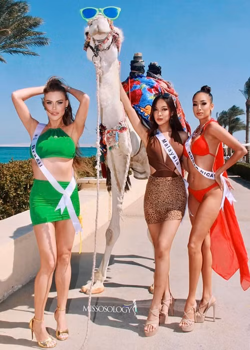 Chuyên trang sắc đẹp uy tín Missosology đánh giá cao đại diện Brazil. Ảnh: Missosology