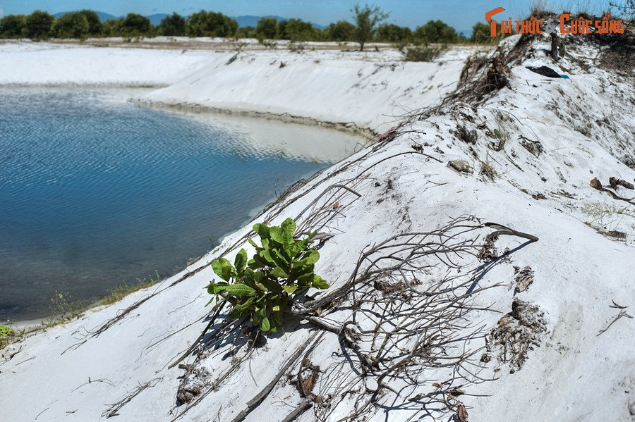 Những dải cát trắng là cảnh quan tự nhiên đặc trưng của khu vực duyên hải Quảng Nam. Khung cảnh này khiến nhiều du khách thích thú vì liên tưởng đến những miền đất phủ tuyết của xứ lạnh xa xôi.