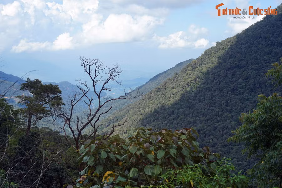 Để để đảm bảo an toàn khi vượt đèo Khánh Lê, du khách nên theo dõi dự báo thời tiết, đi chậm, quan sát thật kỹ khi đến các đoạn cua hoặc khi sương mù bao phủ...