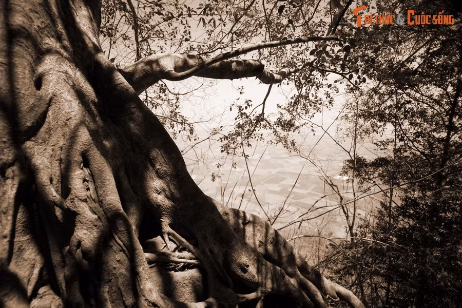 Truyền thuyết thứ hai về Linh Sơn Thánh Mẫu lại liên quan đến cuộc đời của vua Gia Long. Theo đó, trong một lần bị quân Tây Sơn đánh đuổi, chúa Nguyễn Ánh – Gia Long đã dạt đến vùng đất này.