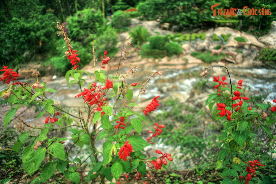 Do nằm gần trung tâm Đà Lạt, ngay từ đầu thế kỷ 20, thác Cam Ly đã trở thành một địa danh du lịch được người Pháp và cư dân địa phương ưa thích.
