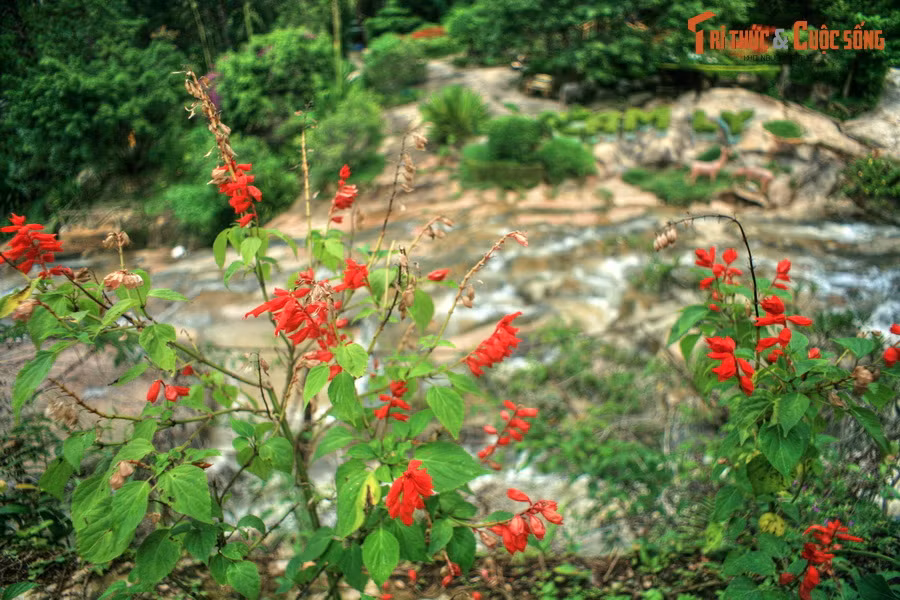 Do nằm gần trung tâm Đà Lạt, ngay từ đầu thế kỷ 20, thác Cam Ly đã trở thành một địa danh du lịch được người Pháp và cư dân địa phương ưa thích.