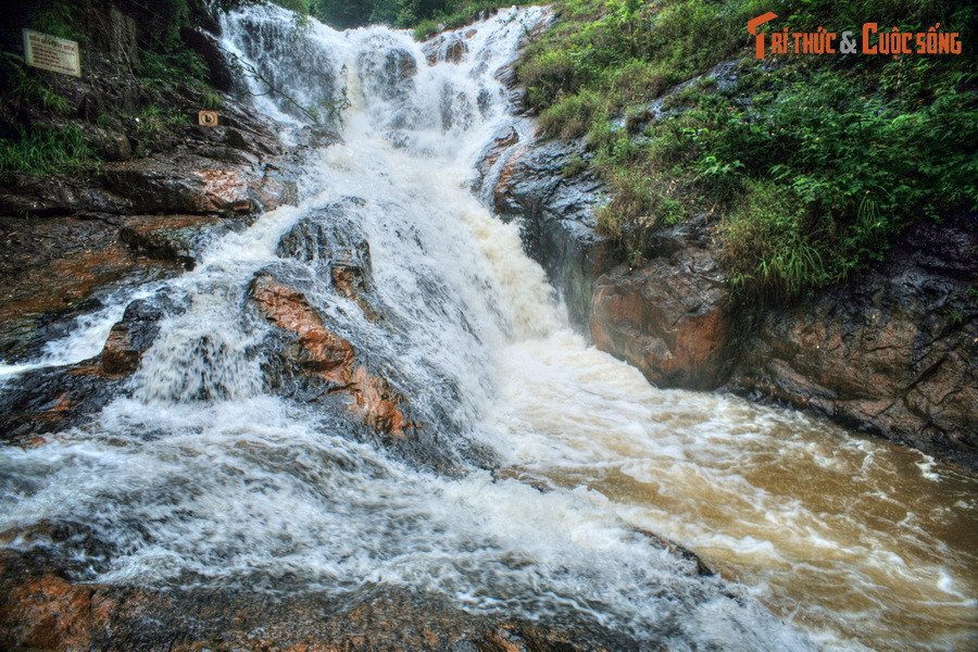 Do chảy qua nhiều thềm đá có độ dốc thoai thoải, thác Datanla không quá ồn ào nhưng vẫn đầy vẻ quyến rũ. Thác luôn có lượng nước dồi dào do thượng nguồn là nguồn nước ổn định. Xung quanh thác là rừng nguyên sinh với thảm thực vật phong phú.