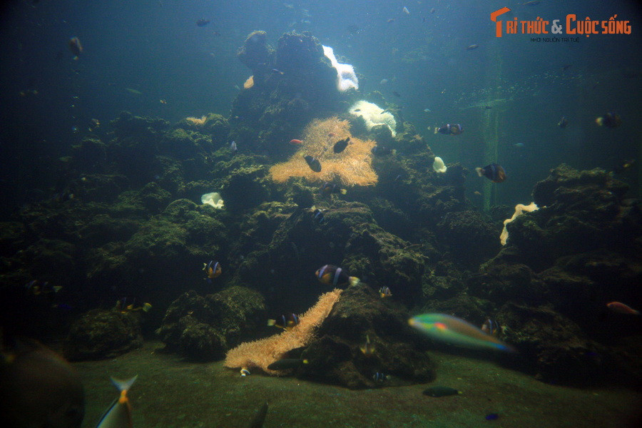 Nhưng vẻ đẹp của hồ chỉ có thể được cảm nhận trọn vẹn qua những tấm kính ở tầng bên dưới.