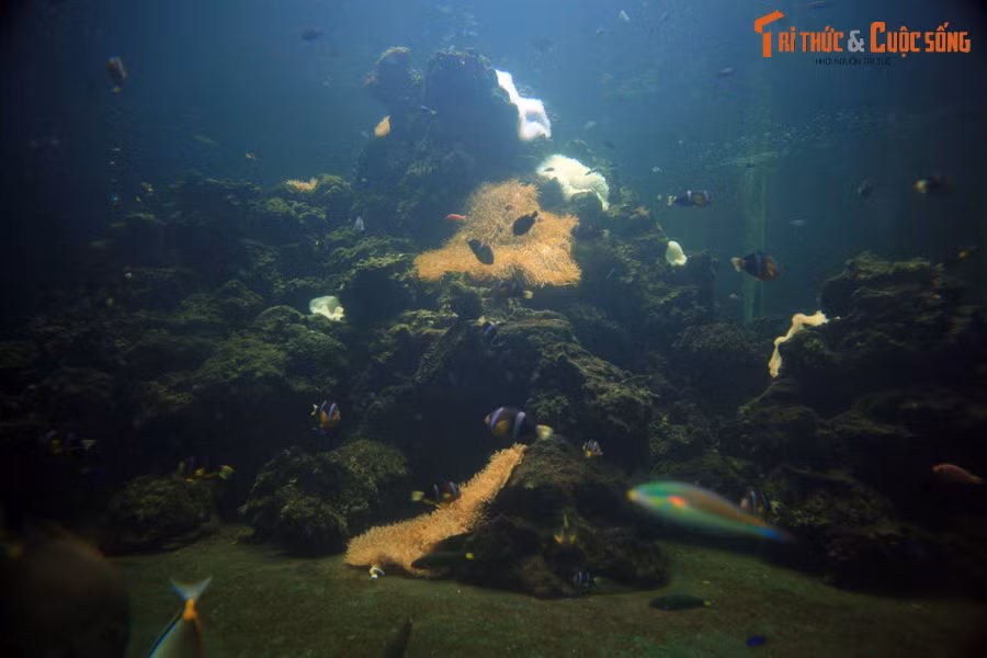 Nhưng vẻ đẹp của hồ chỉ có thể được cảm nhận trọn vẹn qua những tấm kính ở tầng bên dưới.