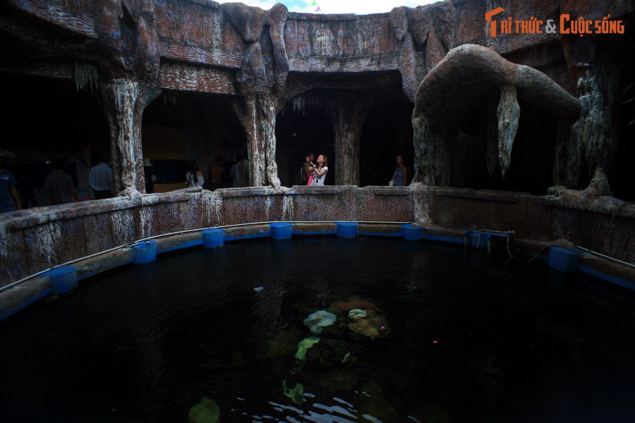 Trung tâm của con tàu cổ là một hồ cá lớn, nơi tái hiện cảnh tượng huyền ảo dưới lòng đại dương. Có thể chiêm ngưỡng hồ này từ bên trên.