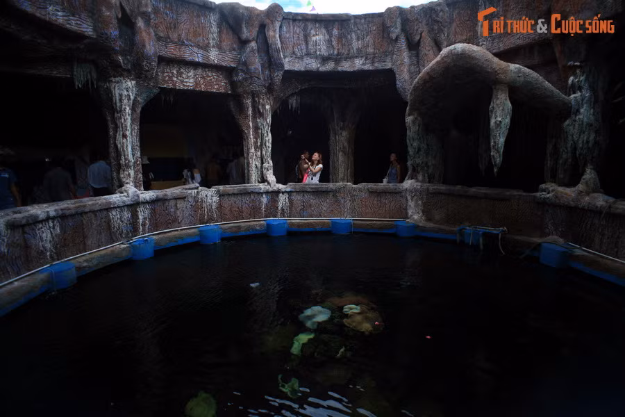 Trung tâm của con tàu cổ là một hồ cá lớn, nơi tái hiện cảnh tượng huyền ảo dưới lòng đại dương. Có thể chiêm ngưỡng hồ này từ bên trên.