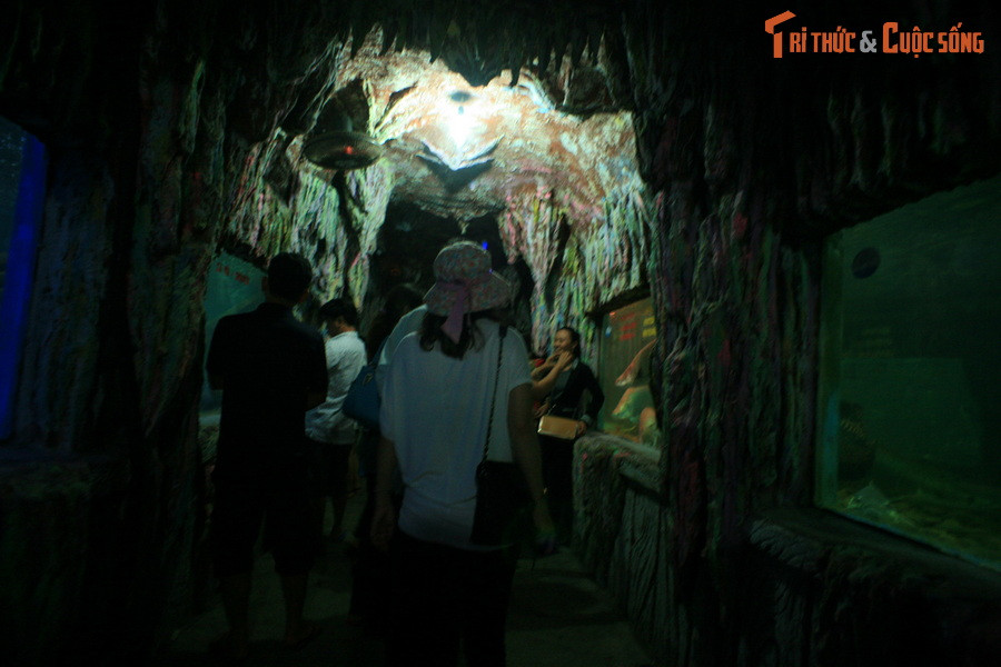 Hệ thống hồ trong nhà đặt trong tòa nhà nhiều tầng, được xây dựng như một con tàu cổ xưa. Các hồ ở đây nhỏ hơn nhưng được bài trí mỹ thuật với rất nhiều loài cá độc đáo.