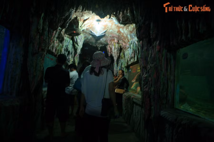 Hệ thống hồ trong nhà đặt trong tòa nhà nhiều tầng, được xây dựng như một con tàu cổ xưa. Các hồ ở đây nhỏ hơn nhưng được bài trí mỹ thuật với rất nhiều loài cá độc đáo.