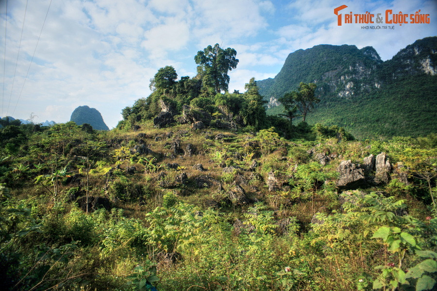 Tại nơi đây, các nhà khoa học đã phát hiện, đánh giá và đề xuất xếp hạng trên 130 điểm di sản địa chất độc đáo, với các dạng địa hình, cảnh quan đá vôi phong phú, đa dạng, như các tháp đá, nón, thung lũng, hang động, hệ thống sông hồ, hang ngầm. Ảnh: Một bãi đá ở huyện Trùng Khánh.
