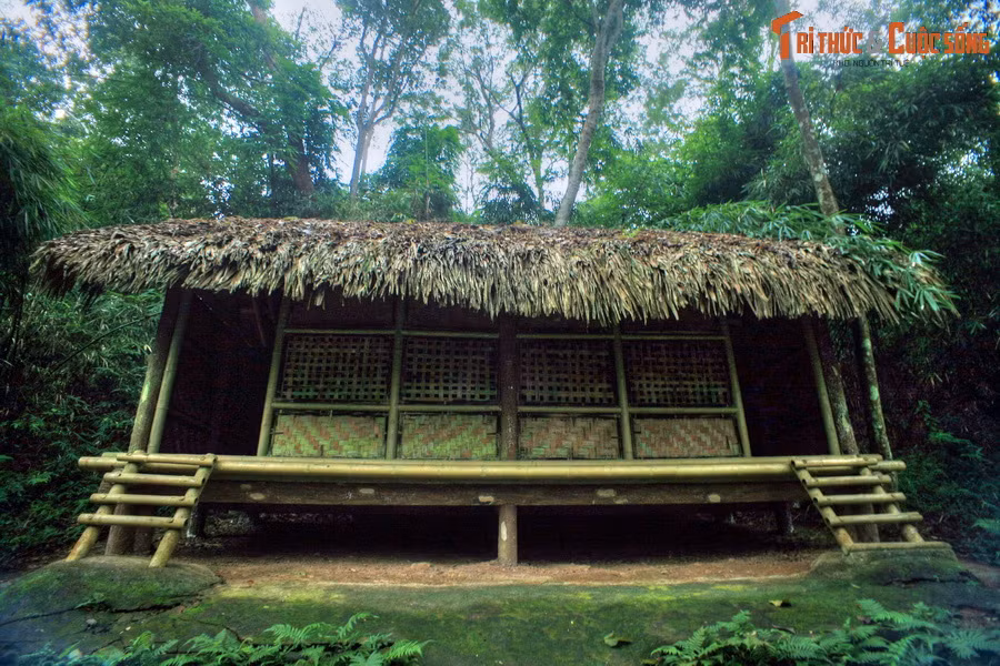 Lán đồng minh tại khu rừng Nà Nưa đã ghi dấu sự hợp tác giữa Mặt trận Việt Minh và các đại diện của Đồng Minh. Chính sách đối ngoại đa phương, tận dụng mọi sự giúp đỡ của các lực lượng quốc tế thể hiện tầm nhìn ngoại giao sáng suốt, linh hoạt của Bác Hồ. Ảnh: Lán đồng minh.