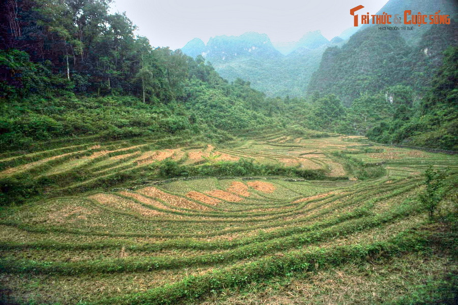 Ngày 4/5/1945, Bác cùng các đồng chí của mình rời Pắc Bó đi xuống chiến khu Tân Trào (Tuyên Quang) để chỉ đạo cuộc Tổng khởi nghĩa tháng Tám vĩ đại, lật đổ chế độ phong kiến, thực dân, thành lập nhà nước công nông đầu tiên ở Đông Nam Á. Ảnh: Ruộng bậc thang của đồng bào dân tộc thiểu số trong lòng chiến khu.
