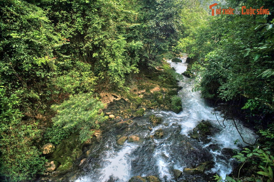 Ngày nay, di tích lịch sử Pắc Bó là một trong những điểm du lịch hấp dẫn nhất của tỉnh Cao Bằng. Nơi đây không chỉ là địa điểm về nguồn thiêng liêng mà còn hấp dẫn du khách vì cảnh quan hùng vĩ và vẫn giữ được nét nguyên sơ như thời Bác Hồ từ nước ngoài trở về Tổ quốc lập căn cứ hoạt động cách mạng. Ảnh: Suối Lê Nin chảy qua những khu rừng nguyên sơ.