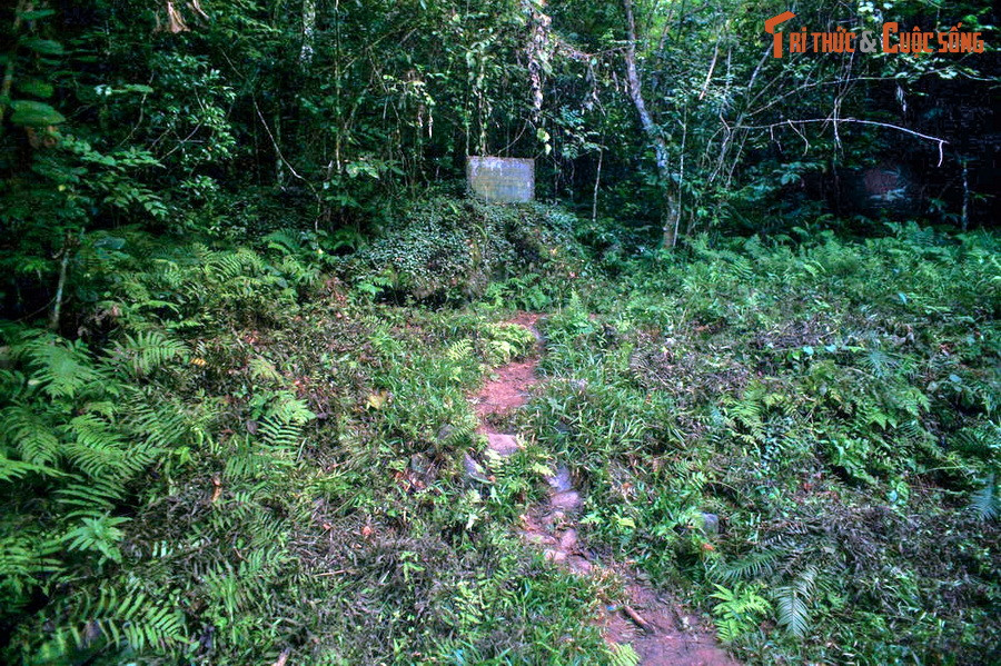 Do bận công việc của đất nước, vào ngày 20/2/1961, sau 20 năm xa cách, dù đã 71 tuổi và sức khỏe giảm sút, nhưng Bác Hồ vẫn đi bộ trở lại thăm Pắc Bó - nơi có ý nghĩa như quê hương thứ hai của Người. Ảnh: Nền nhà sàn của ông Lý Quốc Súng ở Pác Bó - nơi Bác Hồ đã ở trong những ngày đầu trở về Tổ quốc (từ ngày 28/01 - 07/02/1941).