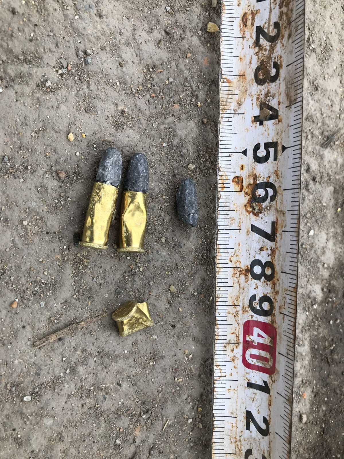 Trong đó, anh Đoàn bị thương ở cánh tay phải, anh Đức bị thương ở bụng (nghi bị đối tượng dùng súng tự chế bắn) được người dân đưa đi cấp cứu tại Bệnh viện Đa khoa tỉnh Bắc Giang. 