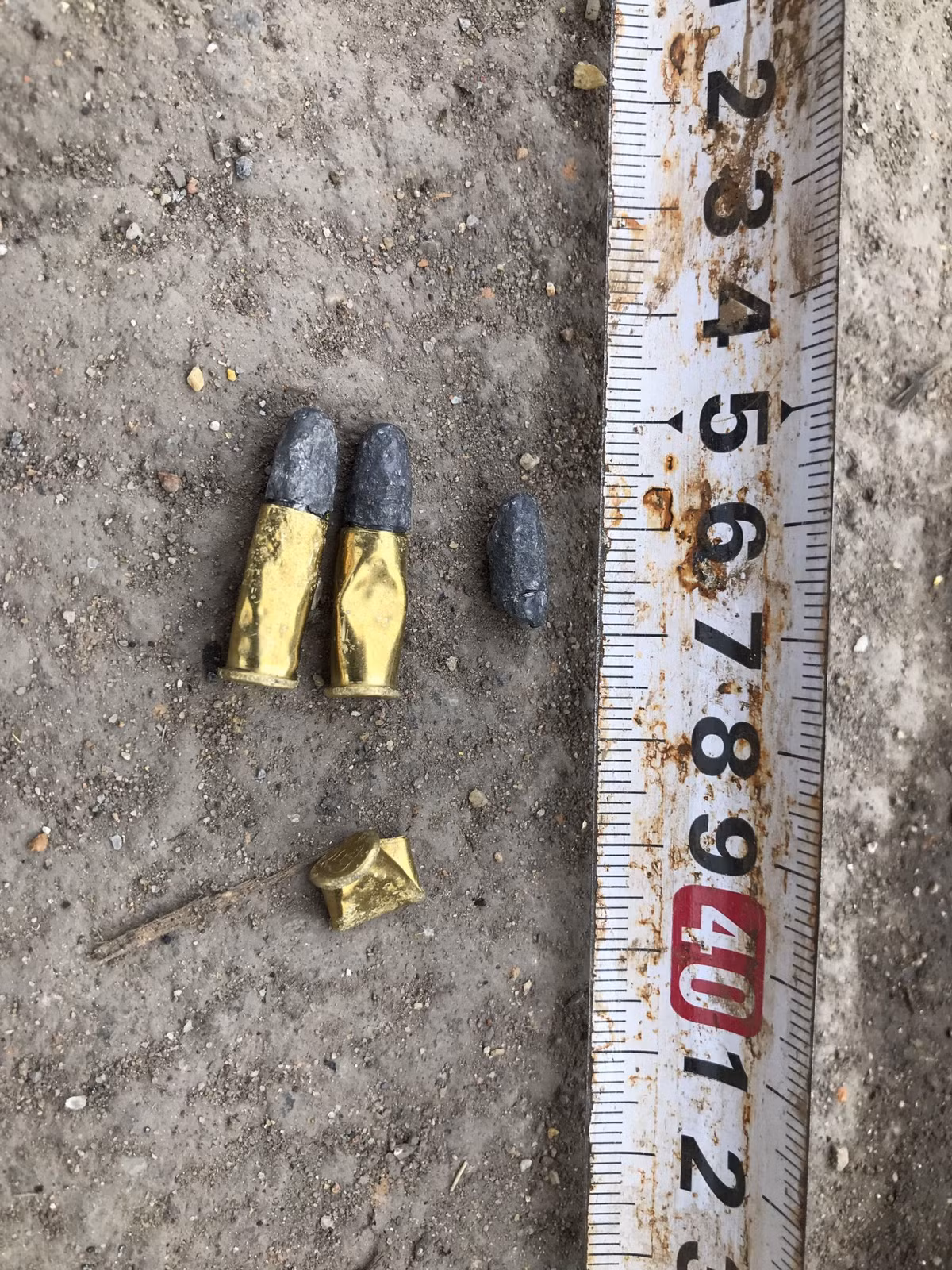 Trong đó, anh Đoàn bị thương ở cánh tay phải, anh Đức bị thương ở bụng (nghi bị đối tượng dùng súng tự chế bắn) được người dân đưa đi cấp cứu tại Bệnh viện Đa khoa tỉnh Bắc Giang. 