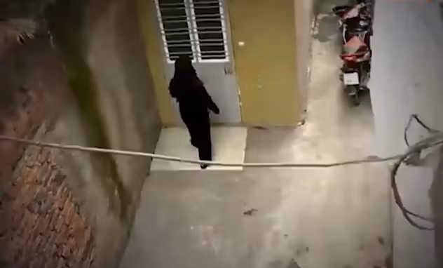 Triển khai nhiều biện pháp đồng bộ, đến chiều tối 1/3/2012, có thông tin cho biết, Sơn "Liên Xô" đang lẩn trốn tại nhà số 43/25/199 Tô Hiệu, phường Hồ Nam, quận Lê Chân, các mũi công tác lập tức chốt chặn. Chủ nhà tên là Trần Trọng Tuấn, cũng là đối tượng có biểu hiện nghiện hút, quan hệ với nhiều thành phần xã hội phức tạp.