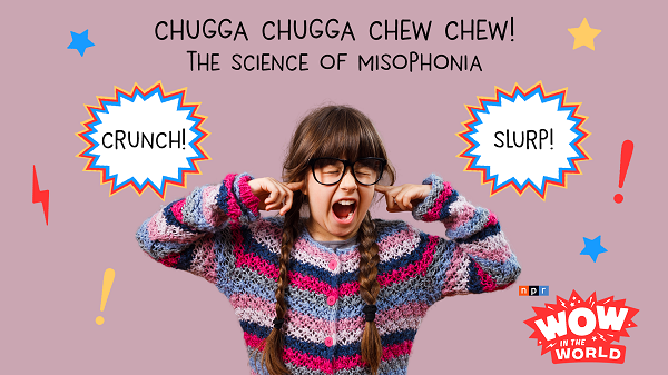 Cụ thể, những người mắc Misophonia cho điểm cao hơn trong các bài kiểm tra. Và nếu như càng phải chịu đựng lâu thì phần điểm họ đạt được càng cao.