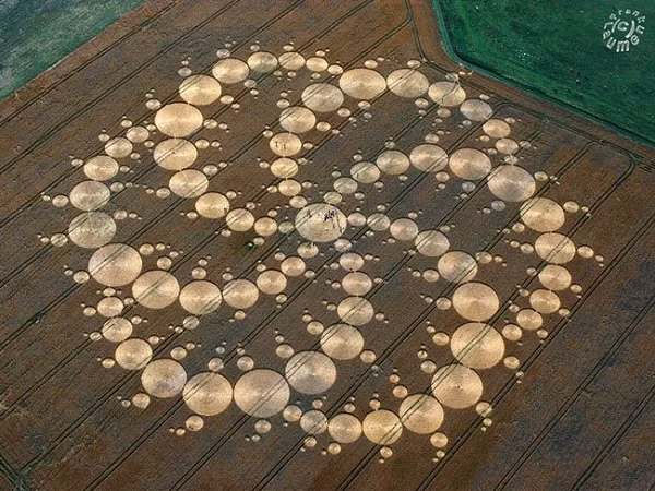 Những vòng tròn này thường được tạo hình rất chính xác, và cân đối, trông như thể chúng là một sản phẩm của máy móc. Các thân cây bị đè xuống và bẻ cong nhưng không hề bị chết, và thường nằm theo luồng xoáy cùng chiều kim đồng hồ hoặc ngược lại.