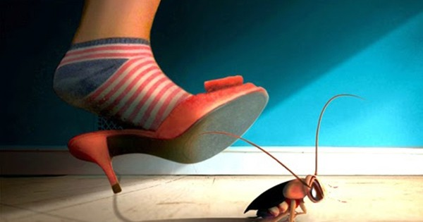 Nỗi sợ gián Katsaridaphobia khá phổ biến, những người mắc phải thường thấy loài động vật hệt như một con "quái vật" vô cùng ghê gớm.