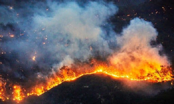 Báo cáo của IPCC cũng cho biết, các điểm tới hạn có thể khiến hàng tấn carbon phun ra từ lớp băng vĩnh cửu ở Siberia, làm tăng mức nhiệt của Trái đất.