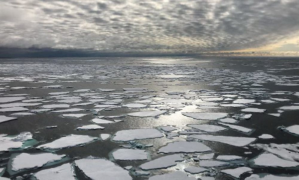 Theo ông, ví dụ dễ thấy nhất đó là rừng nhiệt đới Amazon đã phải hứng chịu những đợt hạn hán kỳ lạ trong những năm gần đây. Những đợt hạn hán này đang được kích hoạt bởi biển Đại Tây Dương đặc biệt ấm áp khiến gió mang mưa bay ra khỏi rừng nhiệt đới.