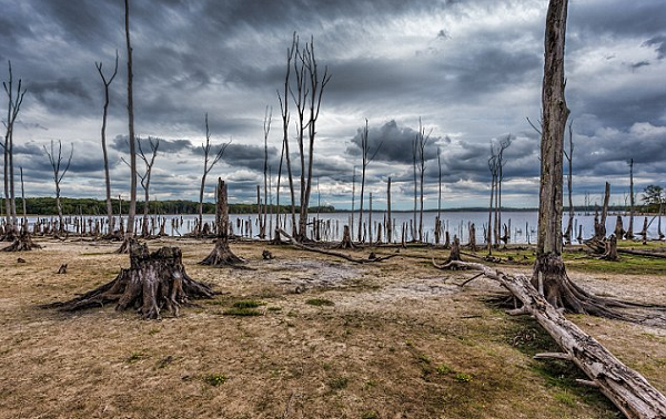 "Một điều đáng sợ về các điểm tới hạn, chúng thường là "ẩn số không xác định" - những thay đổi môi trường đột ngột giáng xuống đầu con người", giáo sư William Laurance, giám đốc Trung tâm Khoa học Môi trường Nhiệt đới và Bền vững (TESS) tại Đại học James Cook (Australia) cho biết.