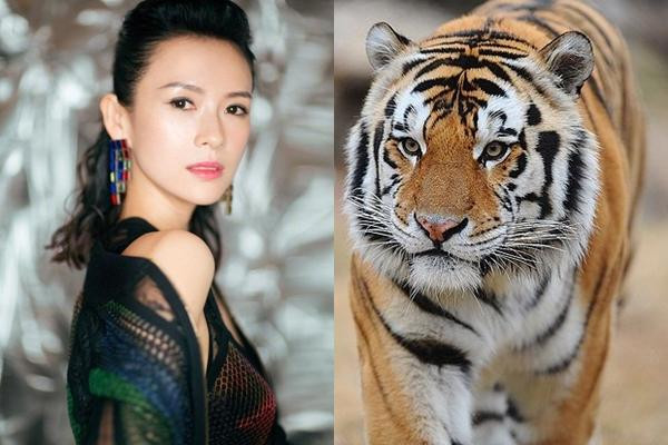 Vận trình công việc của Dần trong tháng 7 khá tốt. Những cơ hội mới sẽ mở ra trước mắt Dần và họ có cơ hội tăng lương, thăng chức hoặc có nhiều dự án thu về lợi nhuận cao.