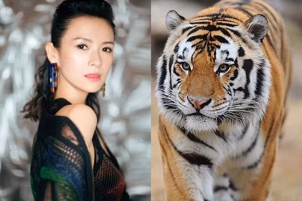 Vận trình công việc của Dần trong tháng 7 khá tốt. Những cơ hội mới sẽ mở ra trước mắt Dần và họ có cơ hội tăng lương, thăng chức hoặc có nhiều dự án thu về lợi nhuận cao.