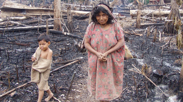 Về chế độ dinh dưỡng, theo như báo cáo được James Gallagher viết cho tờ BBC, 17% thực phẩm của người Tsimané đến từ thú rừng, như lợn rừng, lợn vòi, và chuột lang nước.